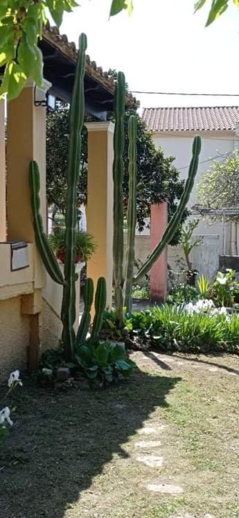 הוילה Nymfai Roula'S House מראה חיצוני תמונה