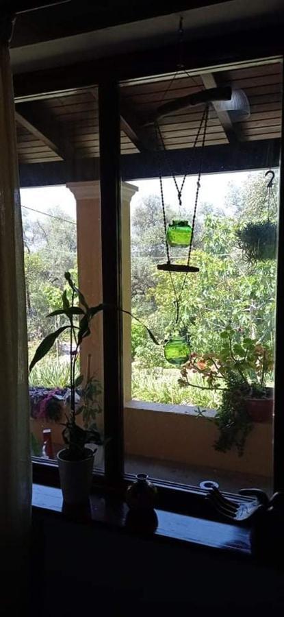 הוילה Nymfai Roula'S House מראה חיצוני תמונה