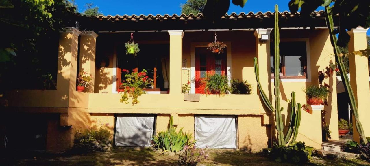 הוילה Nymfai Roula'S House מראה חיצוני תמונה