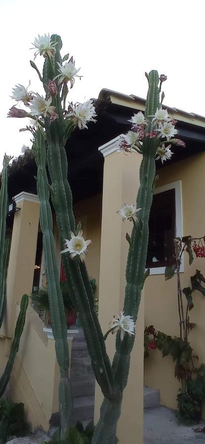 הוילה Nymfai Roula'S House מראה חיצוני תמונה