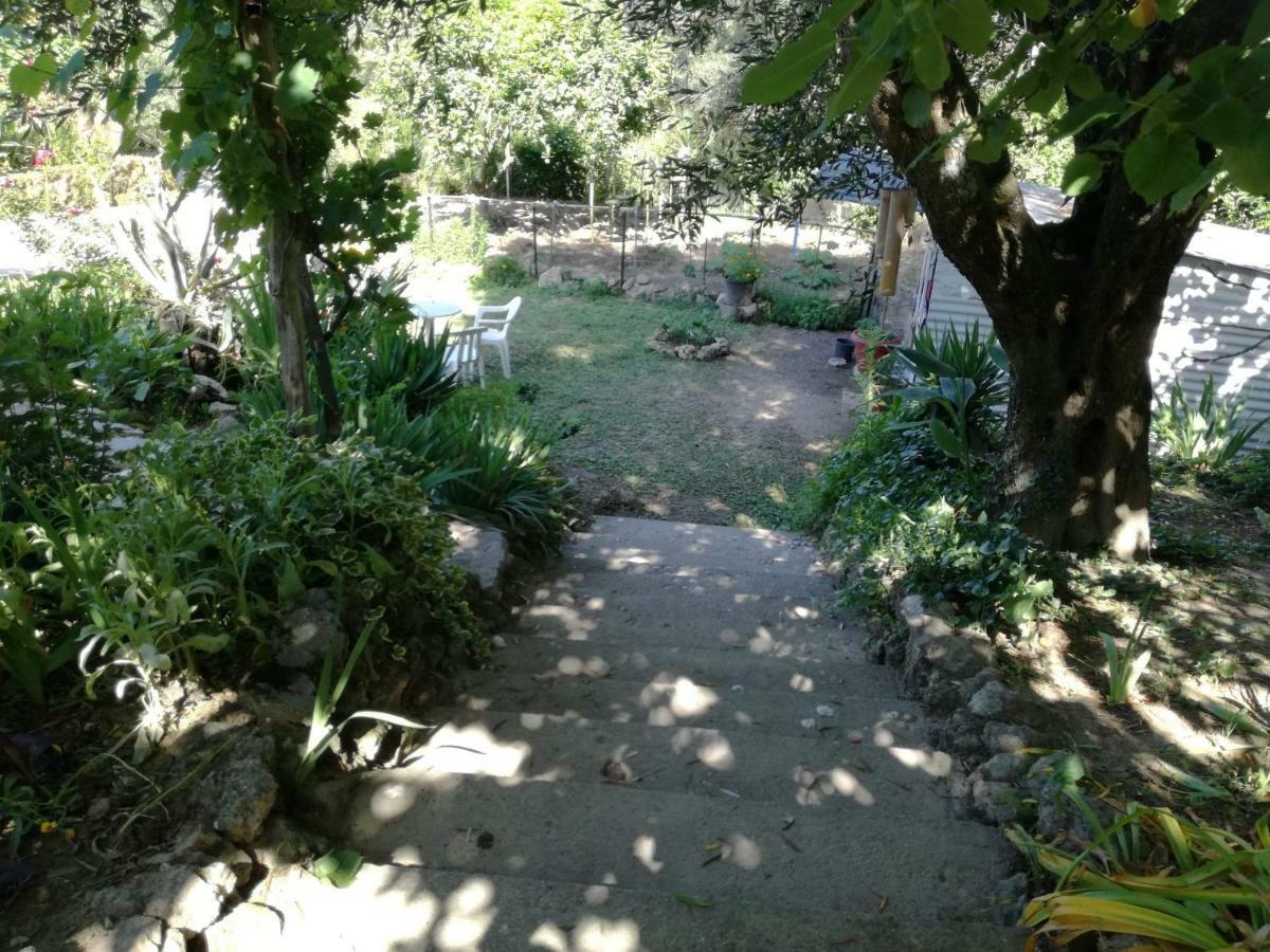 הוילה Nymfai Roula'S House מראה חיצוני תמונה